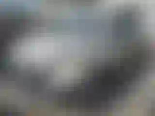 Vehicle Image- 2007 Kia Sportage