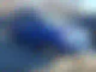 Vehicle Image- 2009 Kia Sportage