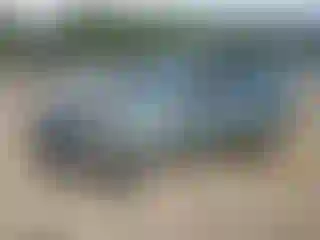 Vehicle Image- 2007 Kia Sportage