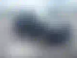 Vehicle Image- 2019 Kia Soul