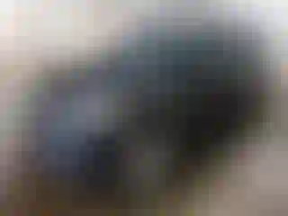 Vehicle Image- 2019 Kia Soul