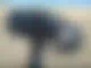 Vehicle Image- 2016 Kia Soul