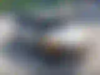Vehicle Image- 2019 Kia Soul