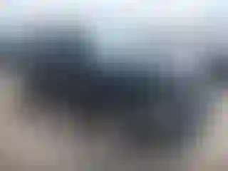 Vehicle Image- 2015 Kia Soul