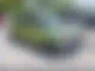 Vehicle Image- 2017 Kia Soul