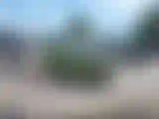 Vehicle Image- 2014 Kia Soul