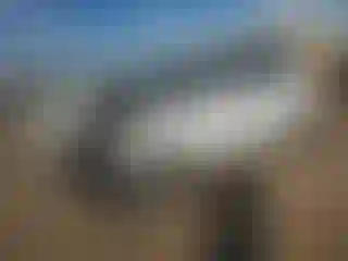 Vehicle Image- 2016 Kia Soul