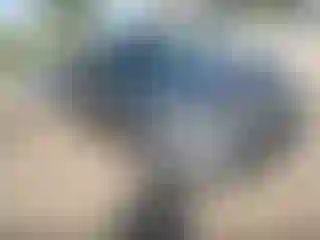 Vehicle Image- 2016 Kia Soul