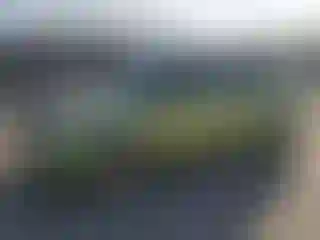 Vehicle Image- 2017 Kia Soul