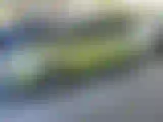 Vehicle Image- 2015 Kia Soul