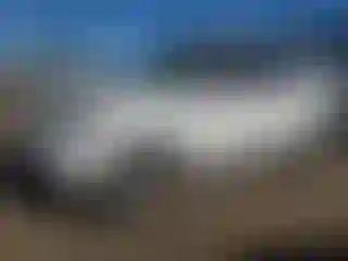 Vehicle Image- 2018 Kia Soul