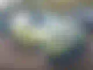 Vehicle Image- 2019 Kia Soul