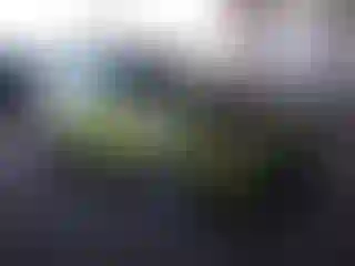 Vehicle Image- 2015 Kia Soul