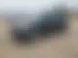 Vehicle Image- 2016 Kia Soul