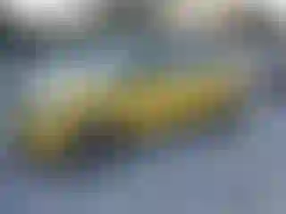 Vehicle Image- 2014 Kia Soul