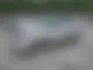 Vehicle Image- 2017 Kia Soul