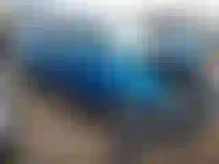 Vehicle Image- 2016 Kia Soul