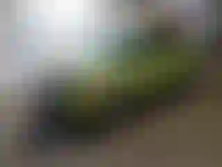 Vehicle Image- 2016 Kia Soul