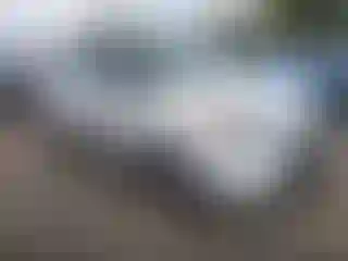 Vehicle Image- 2011 Kia Soul