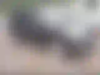 Vehicle Image- 2011 Kia Soul