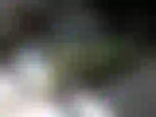 Vehicle Image- 2010 Kia Soul