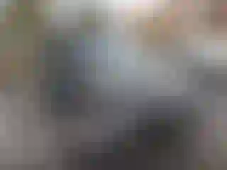 Vehicle Image- 2010 Kia Soul