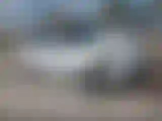 Vehicle Image- 2013 Kia Soul