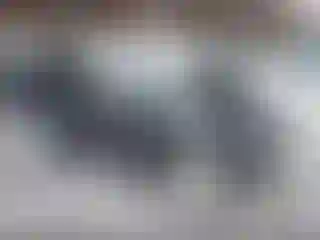 Vehicle Image- 2013 Kia Soul