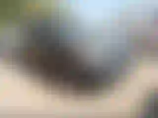 Vehicle Image- 2013 Kia Soul