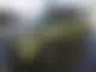 Vehicle Image- 2014 Kia Soul