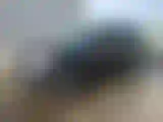 Vehicle Image- 2016 Kia Soul