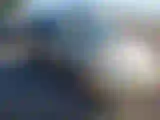 Vehicle Image- 2008 Kia Sedona