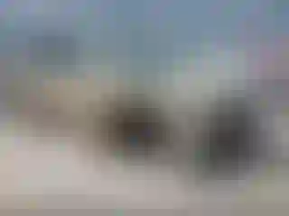 Vehicle Image- 2007 Kia Sedona