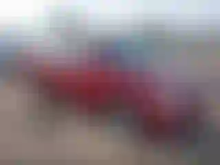 Vehicle Image- 2007 Kia Sedona
