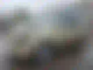 Vehicle Image- 2009 Kia Sedona