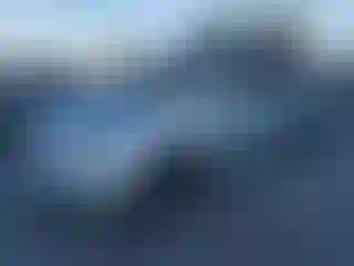 Vehicle Image- 2008 Kia Sedona