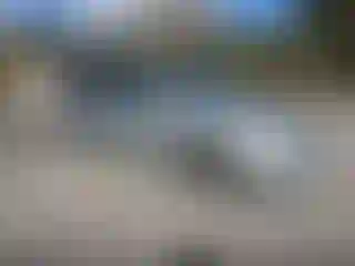 Vehicle Image- 2008 Kia Sedona