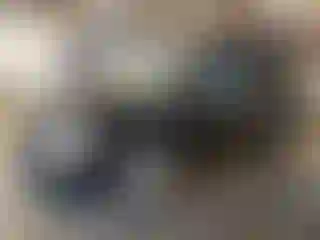 Vehicle Image- 2007 Kia Sedona