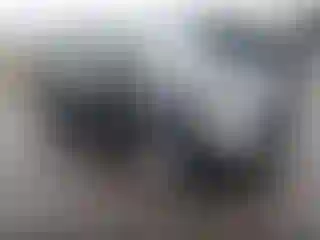 Vehicle Image- 2008 Kia Sedona