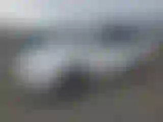Vehicle Image- 2007 Kia Sedona