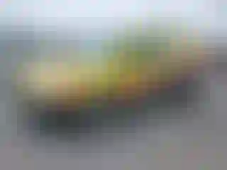 Vehicle Image- 2006 Kia Sedona