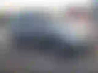 Vehicle Image- 2006 Kia Sedona