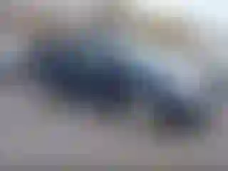 Vehicle Image- 2006 Kia Sedona