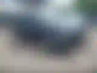 Vehicle Image- 2017 Kia Sedona