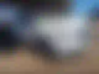 Vehicle Image- 2021 Kia Sedona