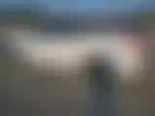 IMPORTOWO.pl