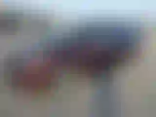 Vehicle Image- 2016 Kia Sedona