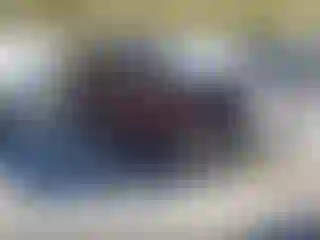 Vehicle Image- 2015 Kia Sedona