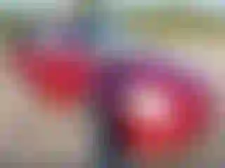 Vehicle Image- 2010 Kia Sedona