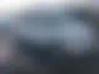 Vehicle Image- 2010 Kia Sedona